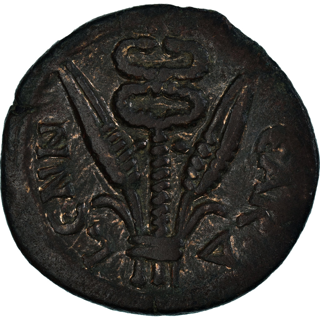 Moneta,
Egipt,
Hadriana