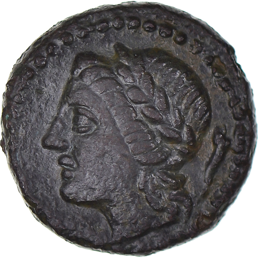 Moneta,
Sycylia,
Æ