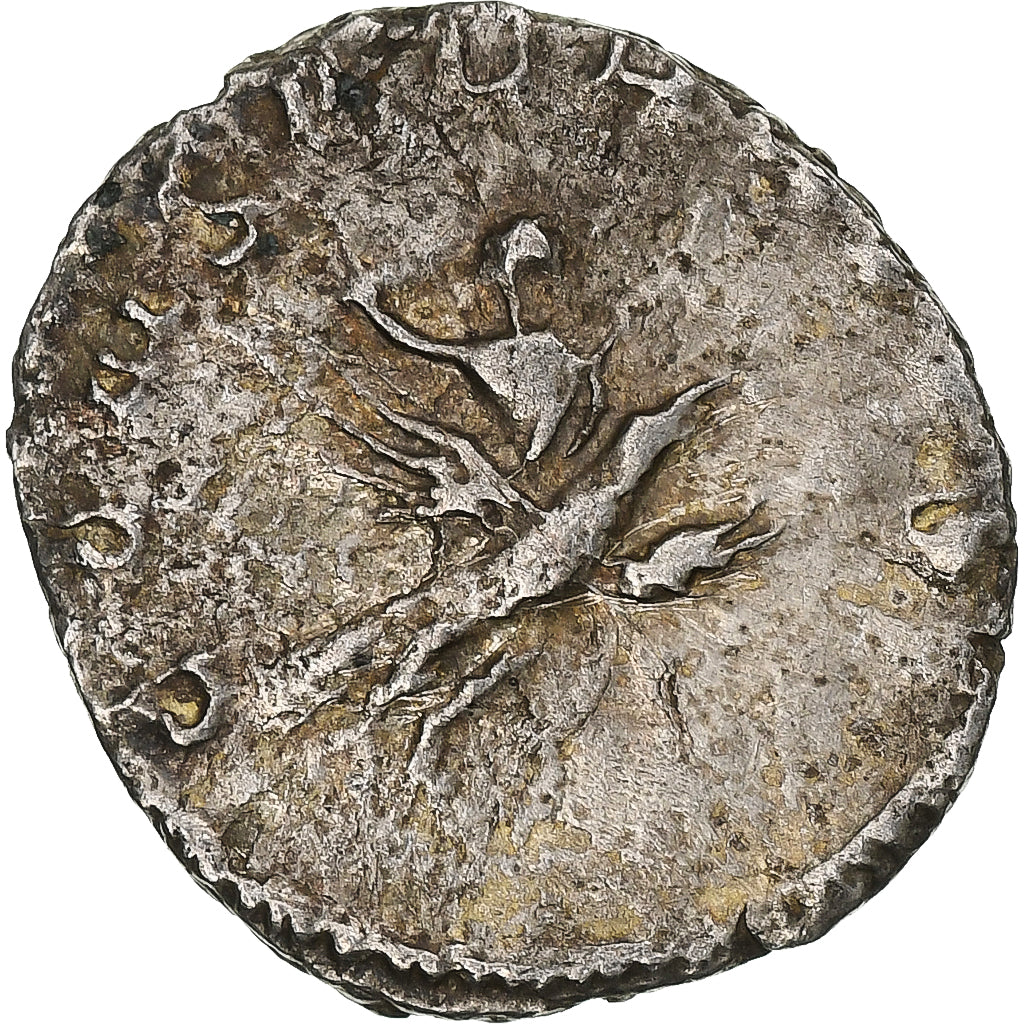 Divus Walerian II,
Antoninian,
257-258