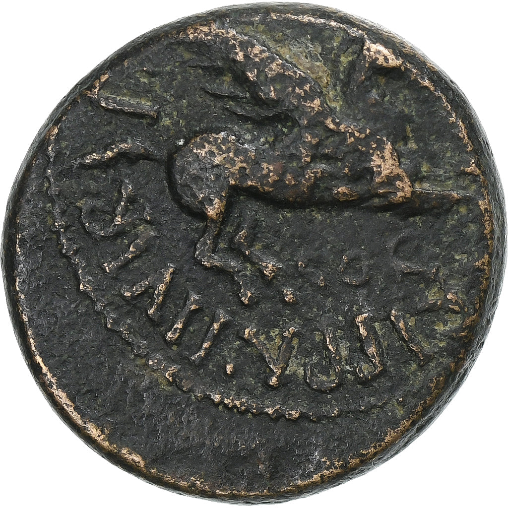 Koryntia,
Kaligula,
Æ Jednostka