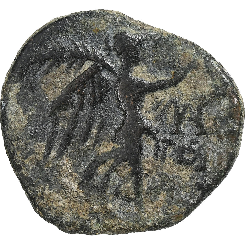 Cylicja,
Pompejusz „Wielki”,
Æ Jednostka