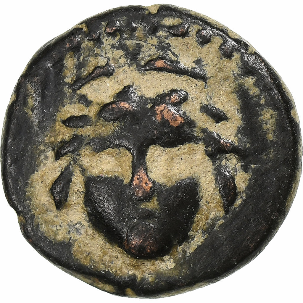 Likaonia,
Wespazjan,
Æ Jednostka