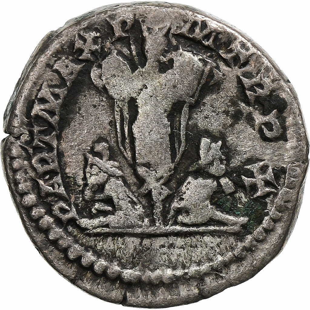 Septymiusz Sewer,
Denar,
202