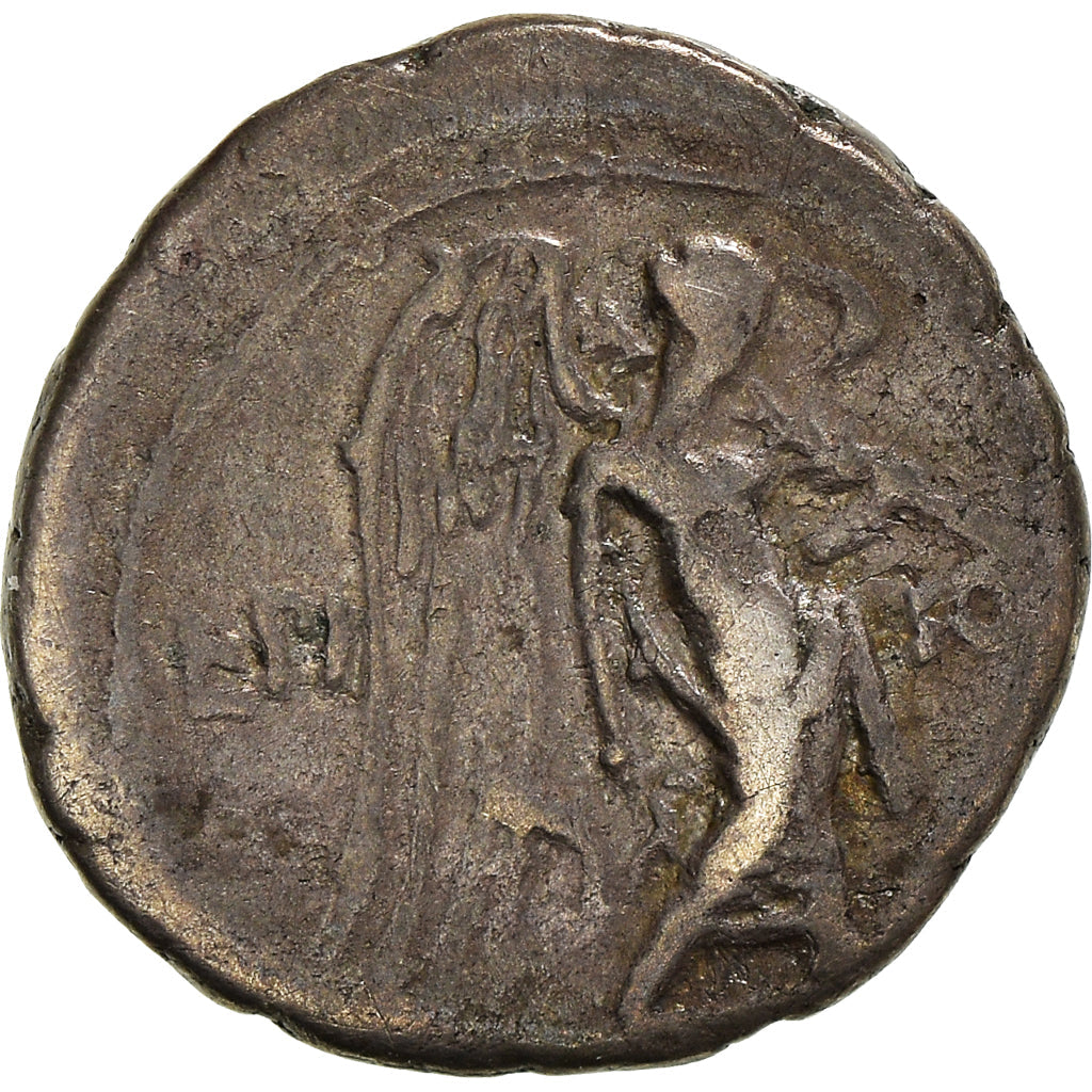 Moneta,
Kalpurnia,
Kwinariusz