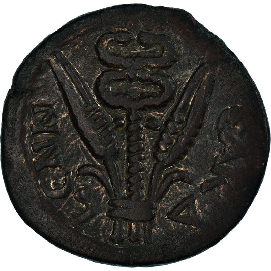Moneta, 
  
  Egipt, 
  
  Hadriana