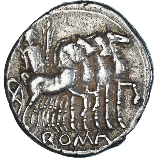 Moneta, 
  
  Varguncja, 
  
  Denar