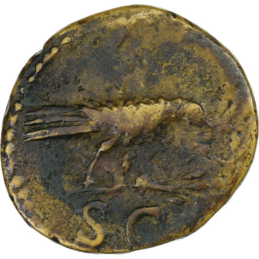 Domicjan, 
  
  pół, 
  
  90-91
