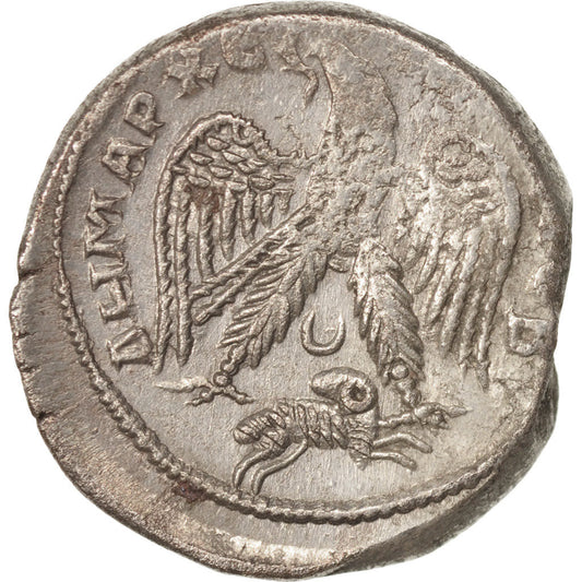 Moneta, 
  
  Gordian III, 
  
  Tetradrachma