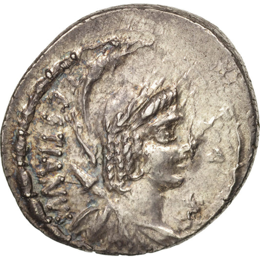 Moneta, 
  
  Plaetoria, 
  
  Denar