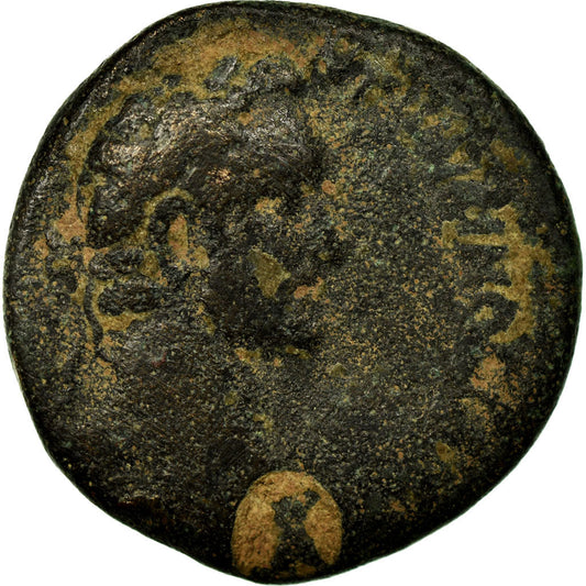 Moneta, 
  
  Seleukis i Pieria, 
  
  Antonin Pius