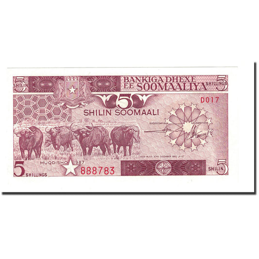 Banknot, 
  
  Somali, 
  
  5 Shilin = 5 szylingów