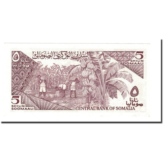 Banknot, 
  
  Somali, 
  
  5 Shilin = 5 szylingów