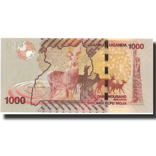 Banknot, 
  
  Uganda, 
  
  1000 szylingów