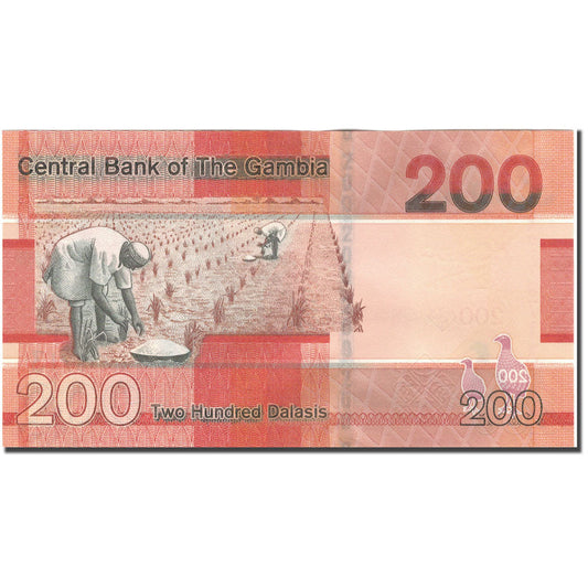 Banknot, 
  
  Gambia, 
  
  200 Dalasisów