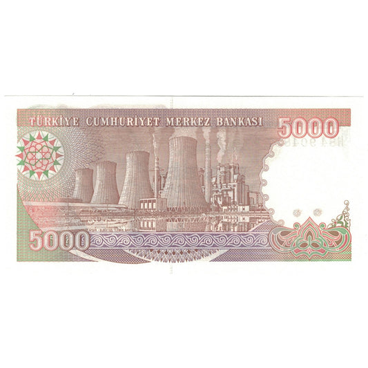 Banknot, 
  
  Indyk, 
  
  5000 lirów