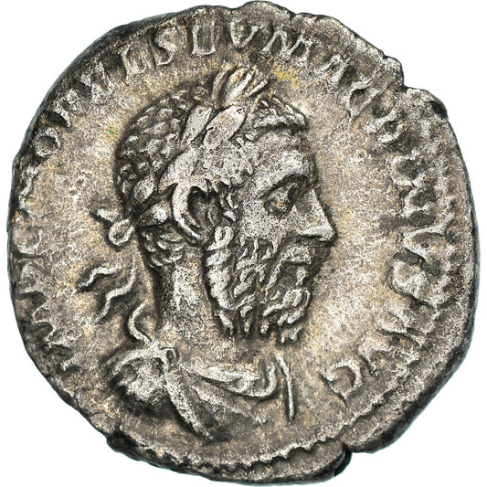 Moneta, 
  
  Makrynus, 
  
  Denar