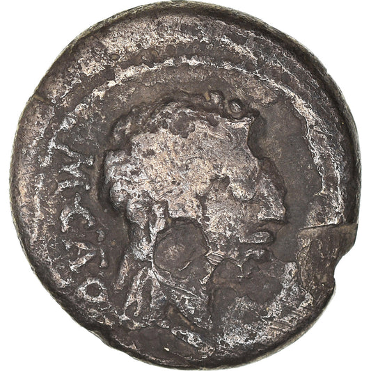 Moneta, 
  
  Porcia, 
  
  Kwinariusz
