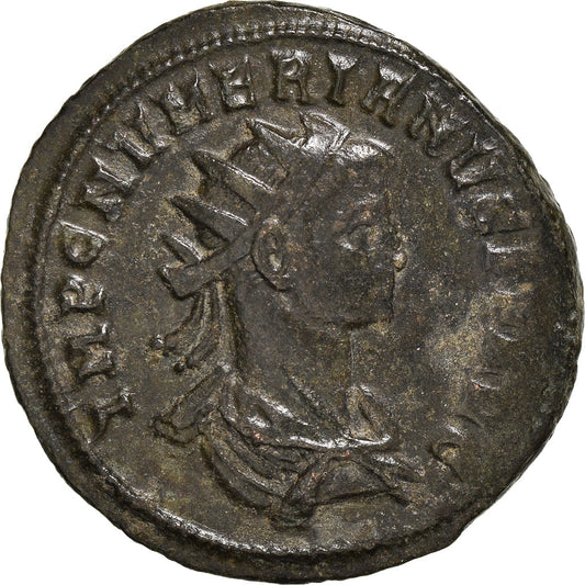Moneta, 
  
  Numerian, 
  
  Antoninian